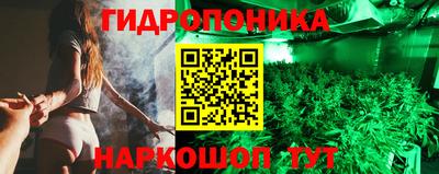 прущие крисы Мариинск